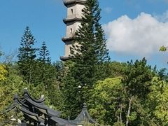-江心屿景区