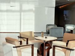 -观廊大堂吧(国际会展中心希尔顿酒店x冰雪世界店)