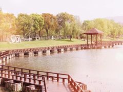 -尚湖风景区