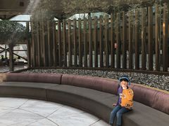 -上海滴水湖皇冠假日酒店