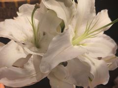-满堂匠心川宴·私房菜(天府三街店)