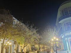 -哈尔滨中央大街华特酒店