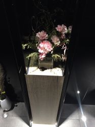 -美壹生诊所皮肤管理中心·海菲秀&Legacy美白舱