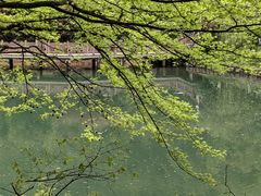 -桃花岭景区