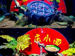 -重庆欢乐海底世界
