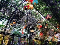 -The Grounds of Alexandria