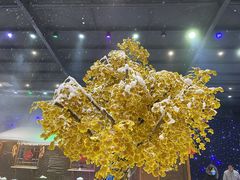 -宁波冰雪大世界(北仑区)