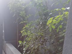 -蘇河湾·新鲁菜·泰山宴(泰山店)