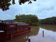 -大湾区中央湿地公园
