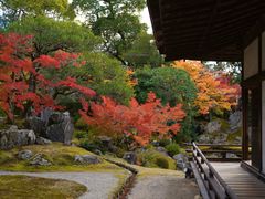 -醍醐寺