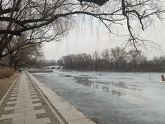 -北陵公园