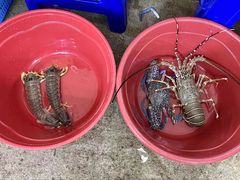 -班赞海鲜市场