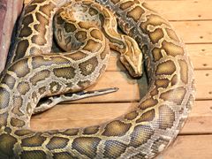 -石家庄市动物园