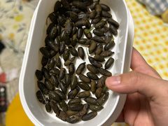 -瑞派·关忠动物医院·异宠专科·犬猫肿瘤·皮肤专科(望京店)