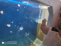 -嘉兴海底世界