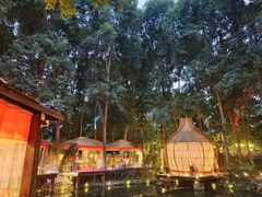 -二荆条·蜀鲜汇城市森林火锅