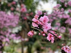 -佛图关公园