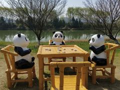 -苏州太湖国家湿地公园