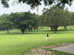 -东莞植物园
