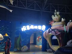 -烟台海昌鲸鲨海洋公园