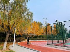-滨河世纪广场公园