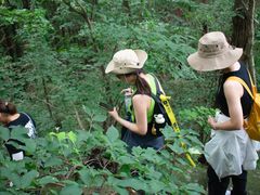 -素山寺森林公园