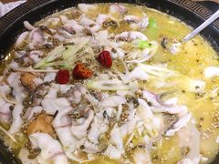-三天打鱼(奥体店)