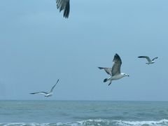 -那香海钻石沙滩浴场