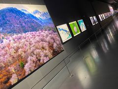 -罗红摄影艺术馆