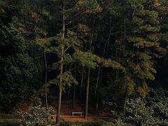 -九龙潭景区