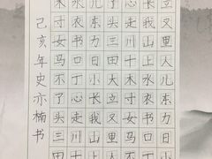 -赵汝飞练字硬笔书法(静安大融城校区)