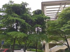 -广东工业大学(大学城校区)