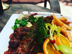 -Fern Forest Cafe