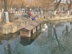 -百花洲