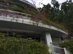 -深圳仙湖植物园-停车场