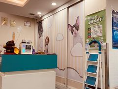 -美联众合爱康动物医院•复杂内科•肿瘤科•牙科•腔镜诊疗中心