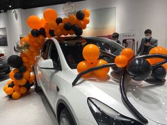 -TESLA 特斯拉(北京颐堤港体验店)