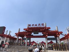 -曹州牡丹园