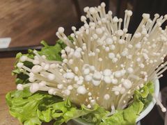 -百草滩羊清水涮羊肉(长城路店)