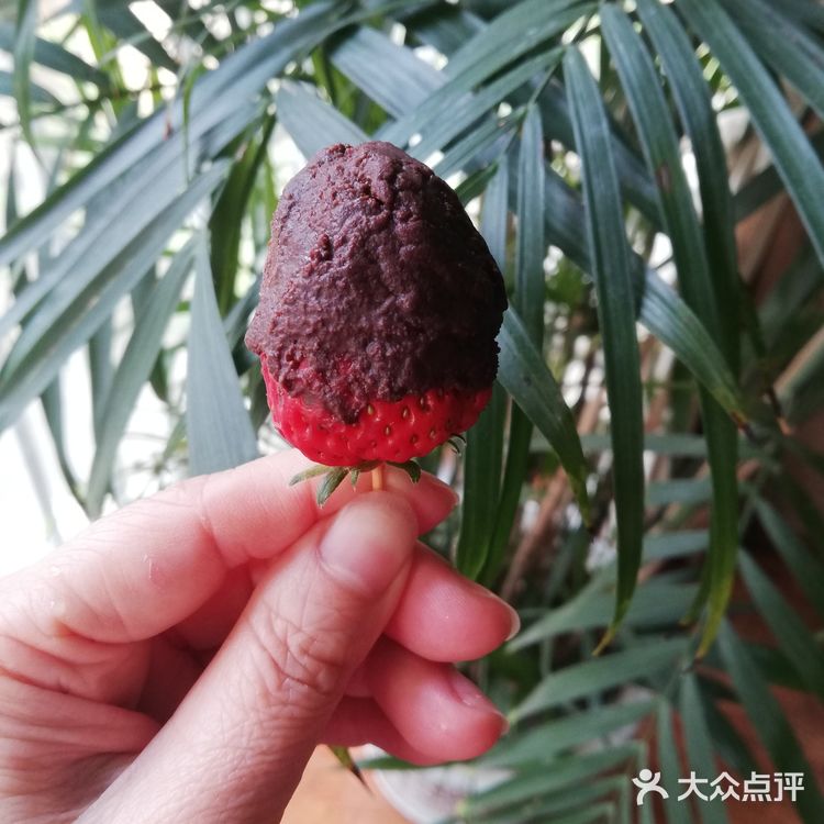 哈哈，我也学会了制作草莓酱