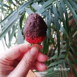 哈哈，我也学会了制作草莓酱