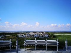 -呼兰河口湿地公园