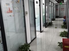 -新航道雅思托福·留学·考研培训(人民广场校区)