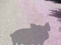 -自然风素食自助餐厅(黄河北路店)