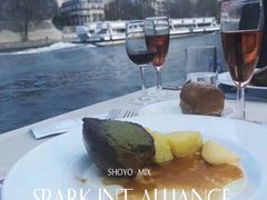 -Bateaux Mouches塞纳河游船