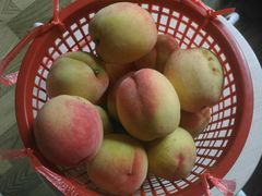 -湖山人家·湖景餐厅·特色农家菜(太湖西山店)