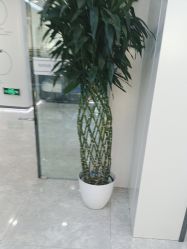 -悟空祛痘·诺奖技术专业店