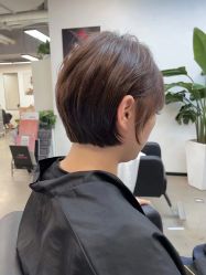 -蚂蚁造型俱乐部
