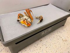 -白仁仔· 活烤海鲜 宵夜(豫园店)