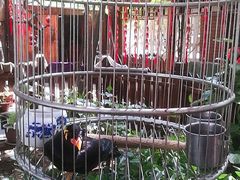 -正宗天津烧麦馆(柳州路店)